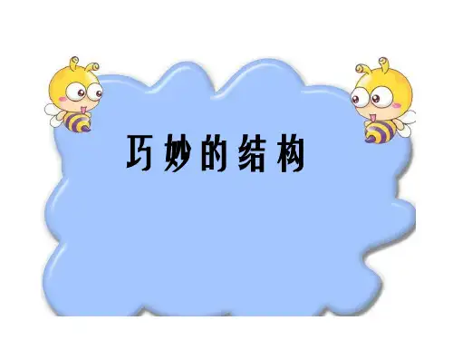六年级下册科学课件-1.2 巧妙的结构丨冀教版  (共20张PPT)