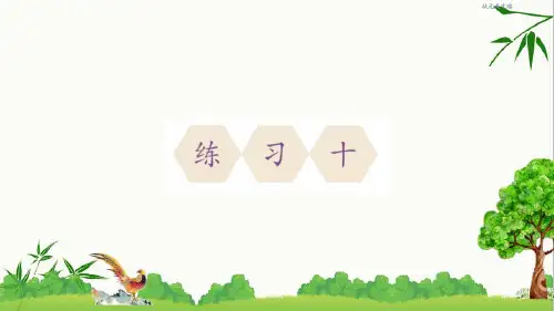 人教版三年级下册数学两位数乘两位数练习十课件