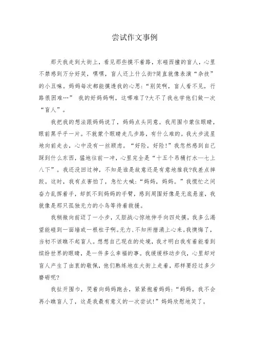 尝试作文事例