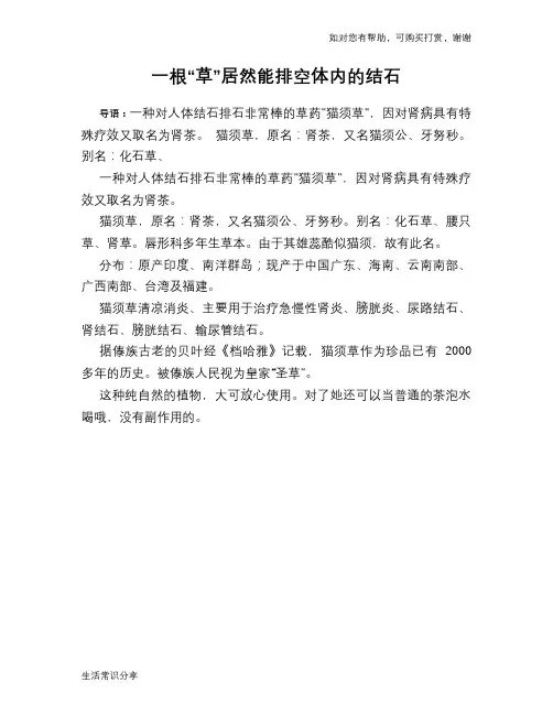 一根“草”居然能排空体内的结石