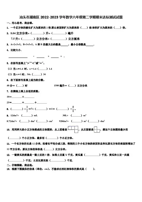 汕头市潮南区2022-2023学年数学六年级第二学期期末达标测试试题含解析
