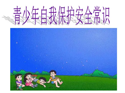 《青少年自我保护安全常识》主题班会ppt课件