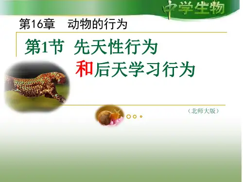 北师大版生物八年级上册16.1《先天性行为和后天学习行为》课件(共26张PPT)