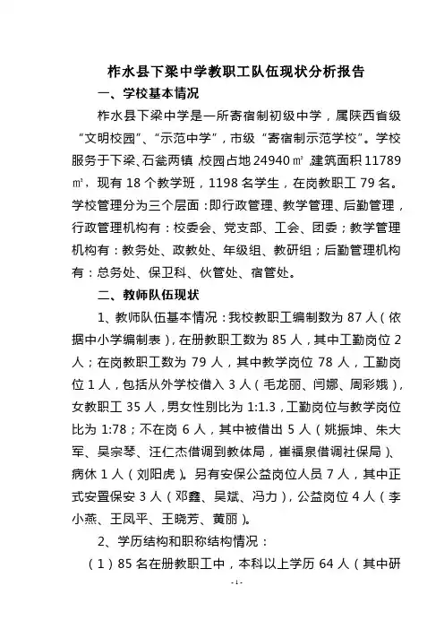 柞水县下梁中学教职工队伍现状分析报告
