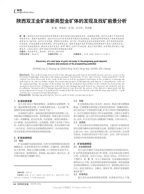陕西双王金矿床新类型金矿体的发现及找矿前景分析