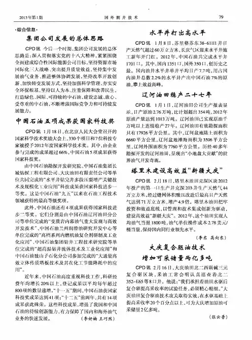 集团公司发展的总体思路