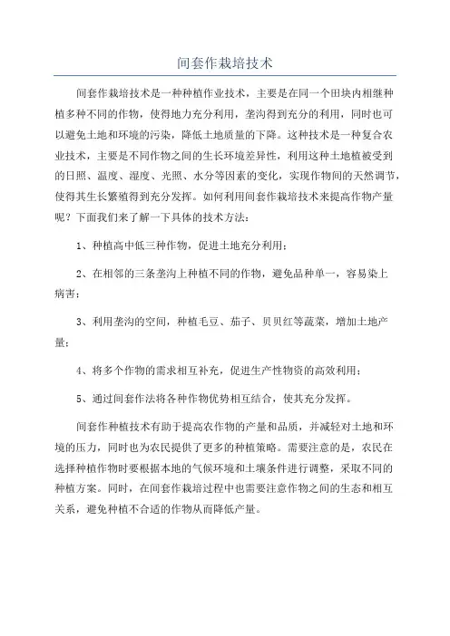 间套作栽培技术