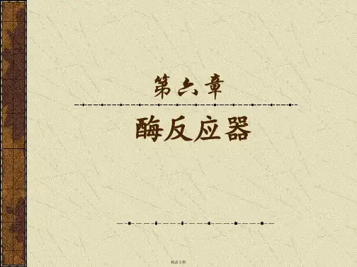第六章酶反应器