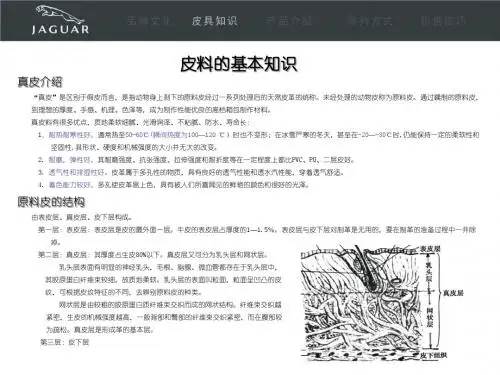 皮具专业知识培训资料
