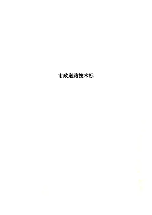 市政道路技术标