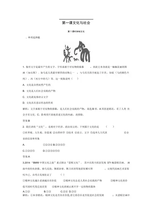 人教版必修三第一课第一框体味文化练习1