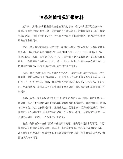 油茶种植情况汇报材料