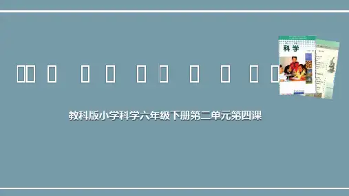 《小苏打和白醋的变化》说课课件(全国实验说课大赛获奖案例)