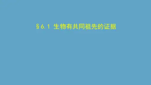6.1 生物有共同祖先的证据 -课件【新教材】人教版(2019)高中生物必修二 %28共29张PPT%29