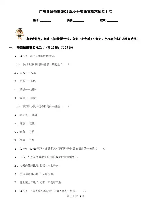 广东省韶关市2021版小升初语文期末试卷B卷(考试)