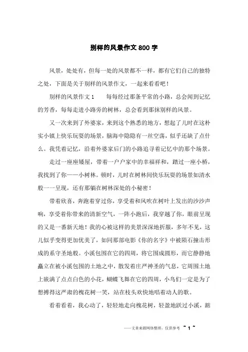 别样的风景作文800字