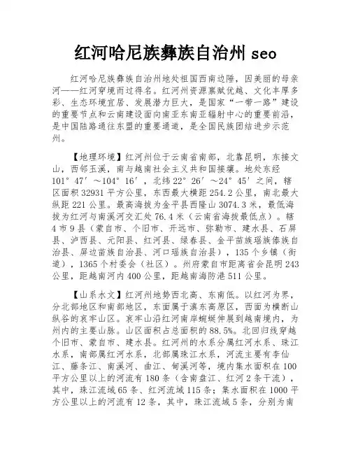 红河哈尼族彝族自治州seo