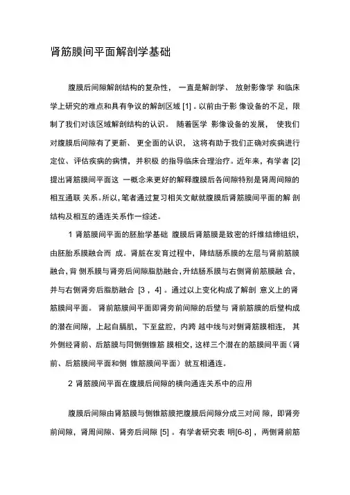 肾筋膜间平面解剖学基础