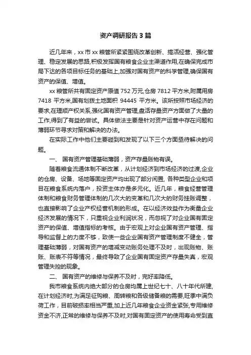资产调研报告3篇
