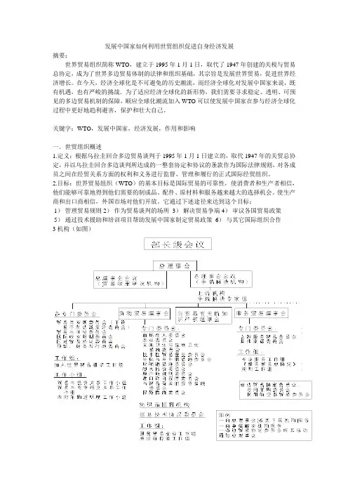 小论文：发展中国家如何利用世贸组织促进自身经济发展