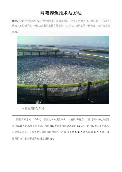 网箱养鱼技术与方法