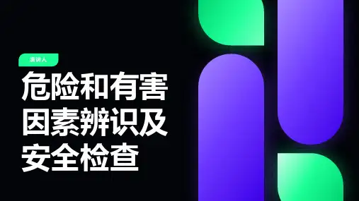 危险和有害因素辨识及安全检查