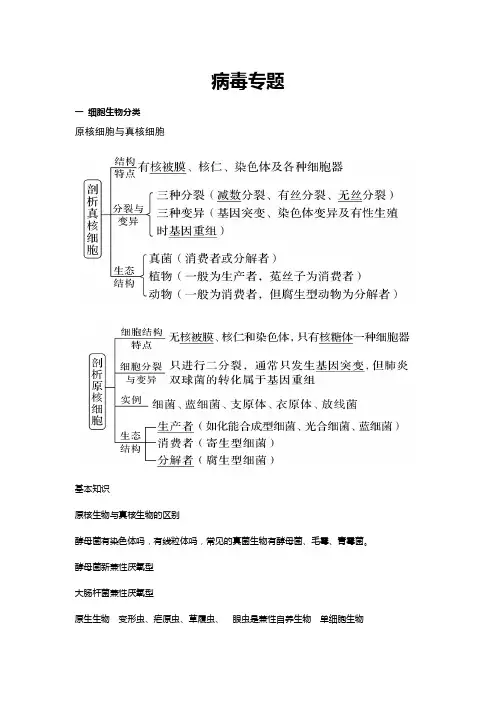 病毒专题 1