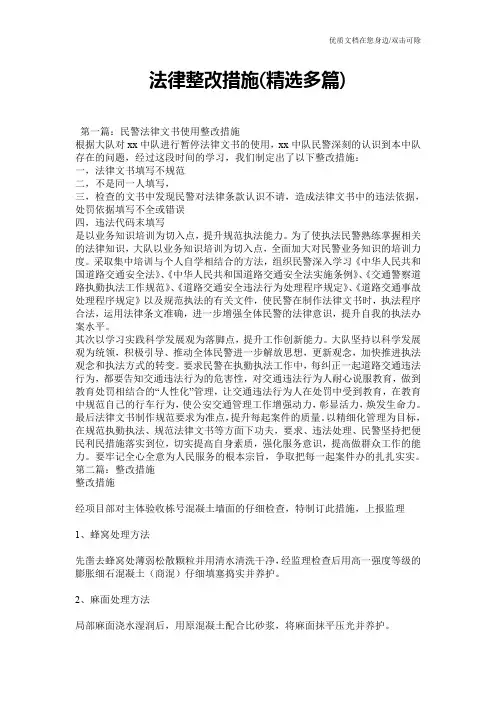 法律整改措施(精选多篇)