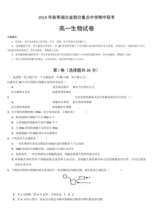 2014年秋湖北省部分重点中学期中联考高一生物试题及答案