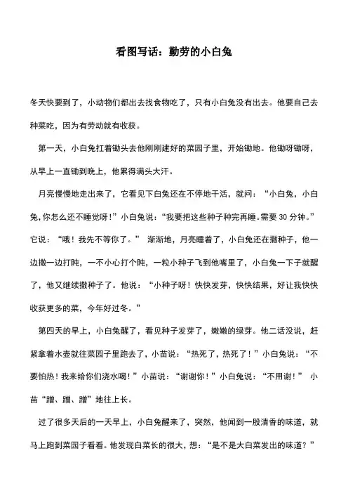 中小学作文素材：看图写话：勤劳的小白兔