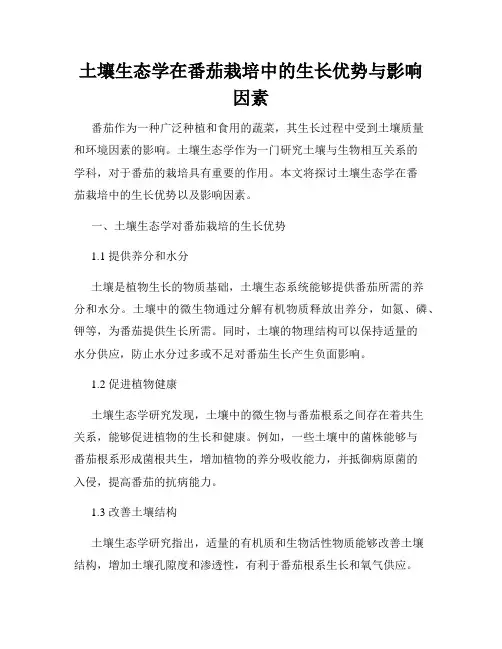 土壤生态学在番茄栽培中的生长优势与影响因素