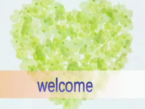 高二英语外研版必修5 Module 4 Carnival WritingHow to describe a festival 课件(共12张PPT)
