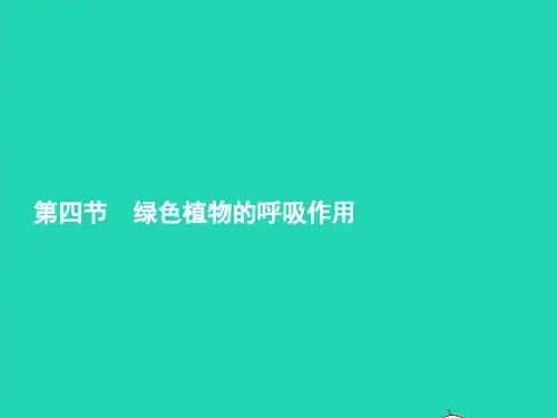 七年级生物上册 2.1.4 绿色植物的呼吸作用课件 (新版)济南版