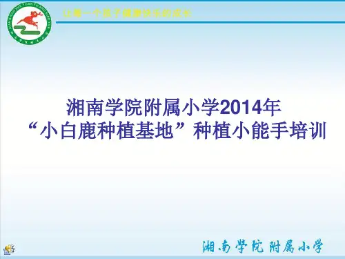 湘南学院附属小学种植小能手培训