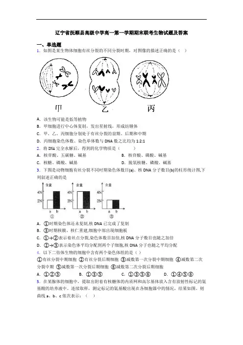 辽宁省抚顺县高级中学高一第一学期期末联考生物试题及答案