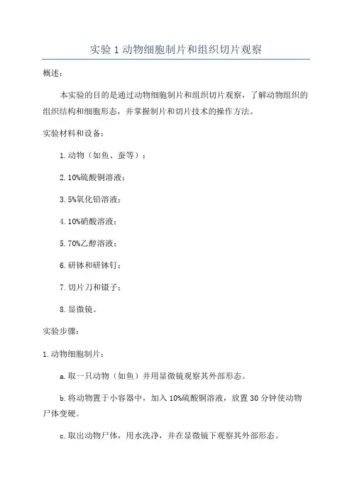 实验1动物细胞制片和组织切片观察