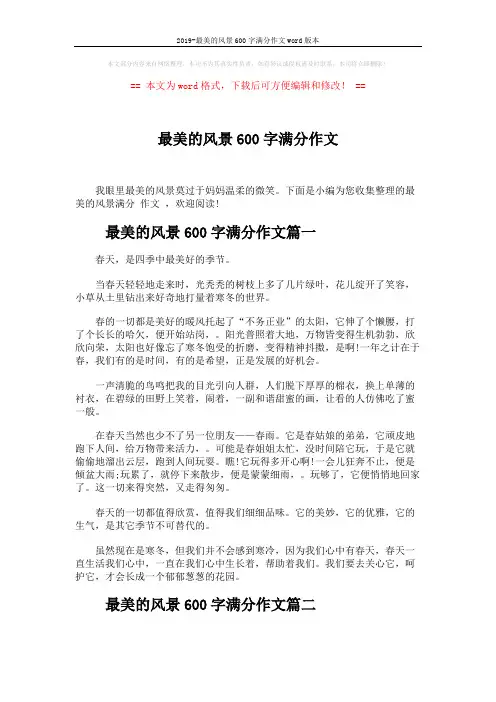 2019-最美的风景600字满分作文word版本 (3页)