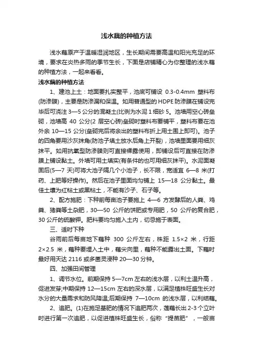 浅水藕的种植方法