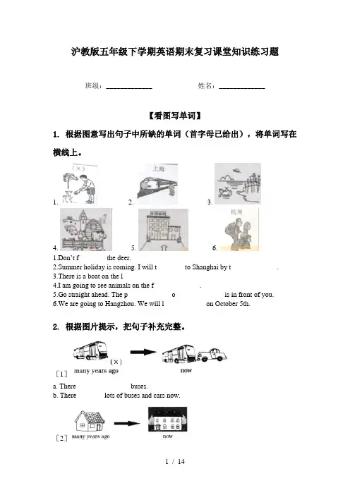 沪教版五年级下学期英语期末复习课堂知识练习题