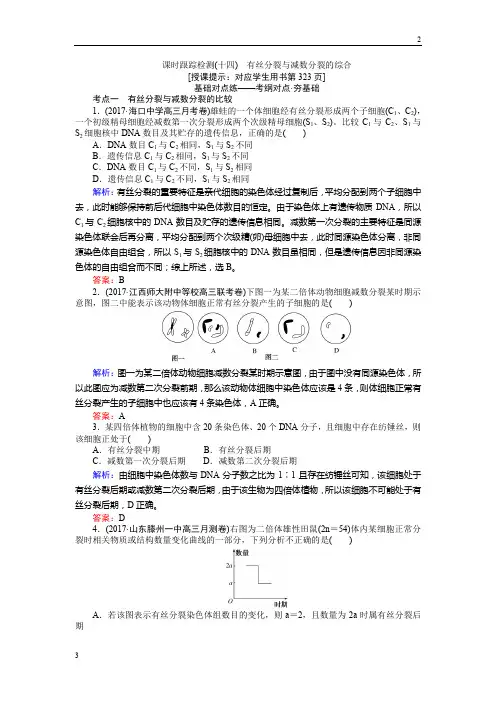 2019高三生物一轮复习课时跟踪检测(十四)有丝分裂与减数分裂的综合 Word版含解析