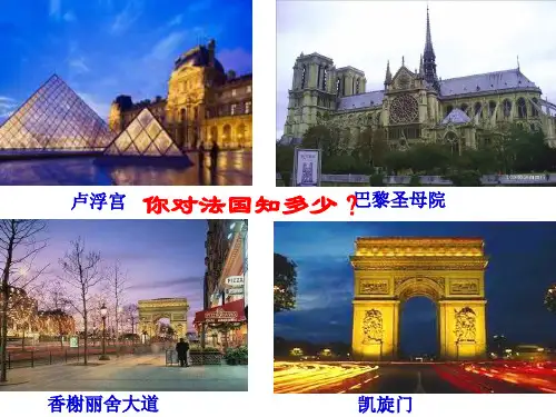 (完整ppt)大国崛起之法国