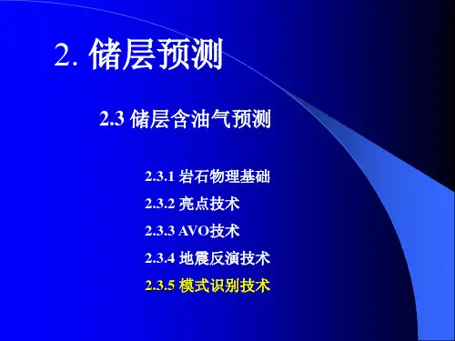 2-3储层含油气预测(3)