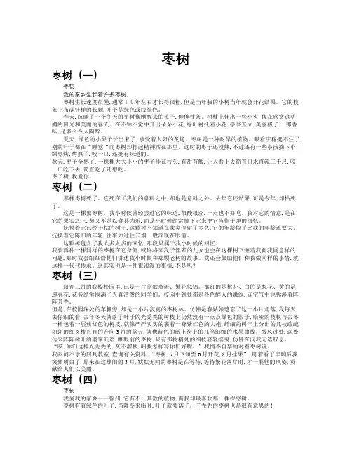 枣树作文共九篇