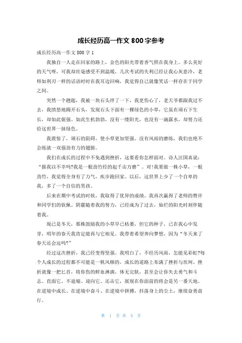 成长经历高一作文800字参考