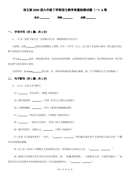 语文版2020届九年级下学期语文教学质量检测试题(一) A卷