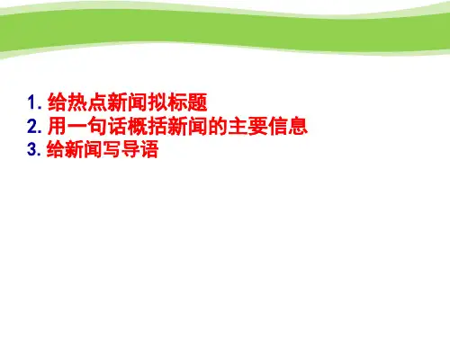 新闻专题训练PPT课件