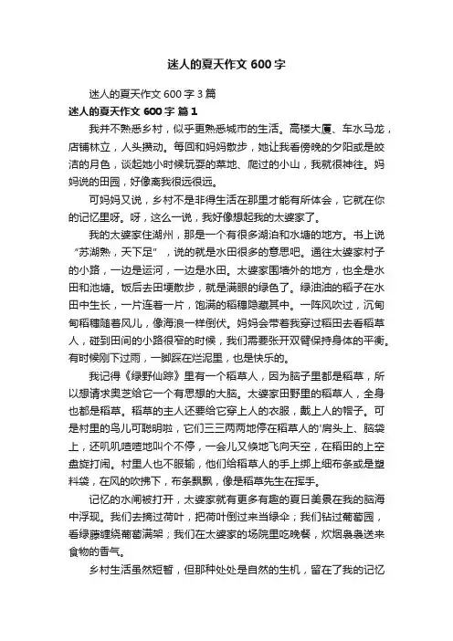 迷人的夏天作文600字3篇