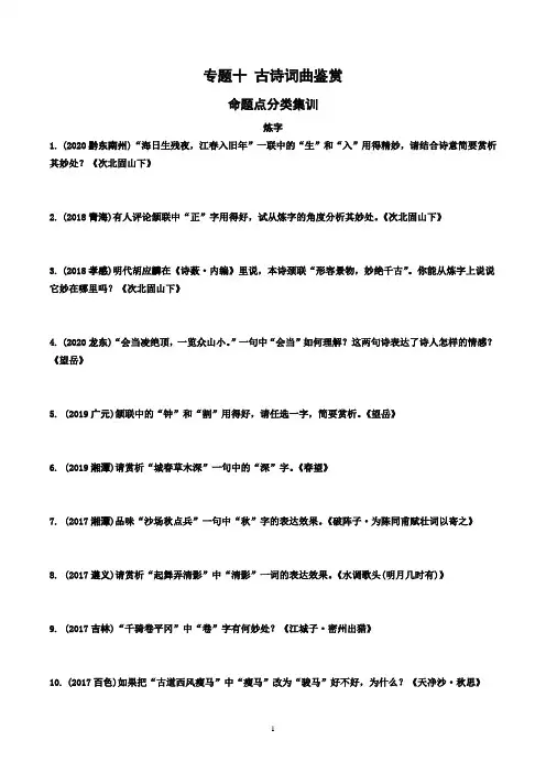 中考语文总复习  专题十 古诗词曲鉴赏 有答案