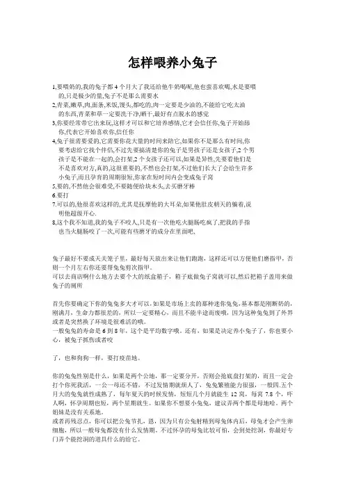怎样喂养小兔子