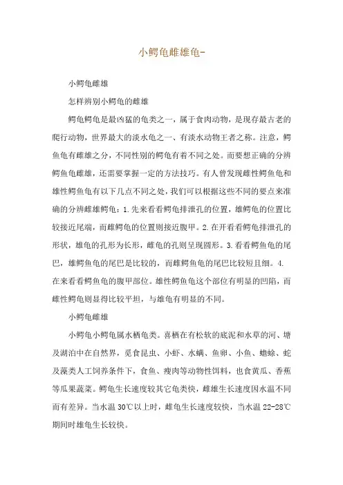 小鳄龟雌雄龟--小鳄龟雌雄